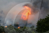 NEWS - Waldbrände in Griechenland