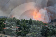 NEWS - Waldbrände in Griechenland