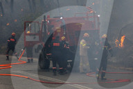 NEWS - Waldbrände in Griechenland