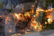 NEWS - Waldbrände in Griechenland