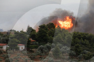 NEWS - Waldbrände in Griechenland