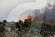 NEWS - Waldbrände in Griechenland