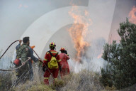 NEWS - Waldbrände in Griechenland