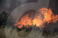 NEWS - Waldbrände in Griechenland
