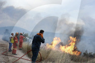 NEWS - Waldbrände in Griechenland