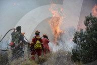 NEWS - Waldbrände in Griechenland