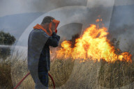 NEWS - Waldbrände in Griechenland