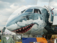 FEATURE - Pix of the Day: Bilder des Tages