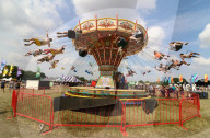 FEATURE - Pix of the Day: Bilder des Tages
