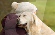 FEATURE - Die schönsten Hundeportraits