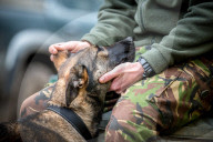 FEATURE - Die schönsten Hundeportraits
