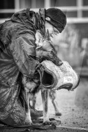 FEATURE - Die schönsten Hundeportraits