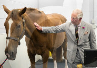 PEOPLE - Die Royals: Die Bilder des Tages