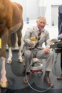 PEOPLE - Die Royals: Die Bilder des Tages