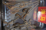 FEATURE - China: Leckere Insekten Snacks am Bier Festival in Qingdao