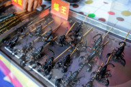 FEATURE - China: Leckere Insekten Snacks am Bier Festival in Qingdao