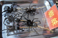 FEATURE - China: Leckere Insekten Snacks am Bier Festival in Qingdao