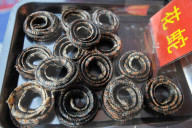 FEATURE - China: Leckere Insekten Snacks am Bier Festival in Qingdao