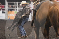 FEATURE - Kanada: Rodeo in Alberta