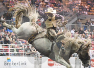 FEATURE - Kanada: Rodeo in Alberta