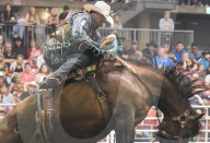 FEATURE - Kanada: Rodeo in Alberta