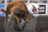 FEATURE - Kanada: Rodeo in Alberta