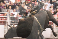 FEATURE - Kanada: Rodeo in Alberta