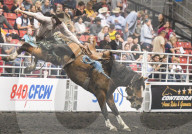 FEATURE - Kanada: Rodeo in Alberta