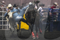 FEATURE - Kanada: Rodeo in Alberta