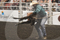 FEATURE - Kanada: Rodeo in Alberta