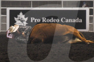 FEATURE - Kanada: Rodeo in Alberta