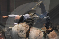 FEATURE - Kanada: Rodeo in Alberta