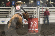FEATURE - Kanada: Rodeo in Alberta