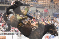 FEATURE - Kanada: Rodeo in Alberta