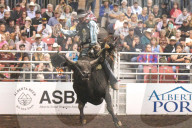 FEATURE - Kanada: Rodeo in Alberta