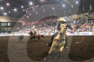 FEATURE - Kanada: Rodeo in Alberta