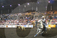 FEATURE - Kanada: Rodeo in Alberta