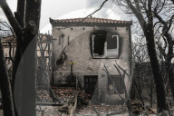 NEWS - Griechenland: Verwüstung und Zerstörung nach heftigen Waldbränden