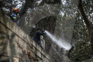 NEWS - Griechenland: Verwüstung und Zerstörung nach heftigen Waldbränden
