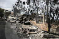NEWS - Griechenland: Verwüstung und Zerstörung nach heftigen Waldbränden