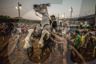 FEATURE - Wilder Ritt durch's Dorf am Jaleo-Festival in Sant Jaume