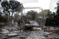 NEWS - Waldbrände in Griechenland: Ein Bild der Zerstörung