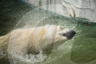 FEATURE - Pix of the Day: Bilder des Tages