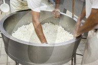 FEATURE - Mozzarella-Produktion in einer Molkerei bei Neapel