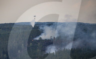 NEWS - Schweden: Löschflugzeuge kämpfen gegen die Waldbrände
