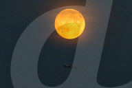 NEWS - Der nächste Blutmond ist im Anmarsch