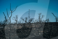 NEWS - Griechenland nach den verheerenden Bränden