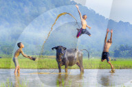 FEATURE - Pix of the Day: Die Bilder des Tages