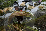 FEATURE - Pix of the Day: Die Bilder des Tages