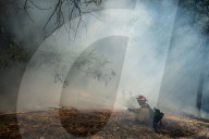 NEWS - Kalifornien: Im Kampf gegen die Buschfeuer
